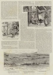 Boikott i Irland